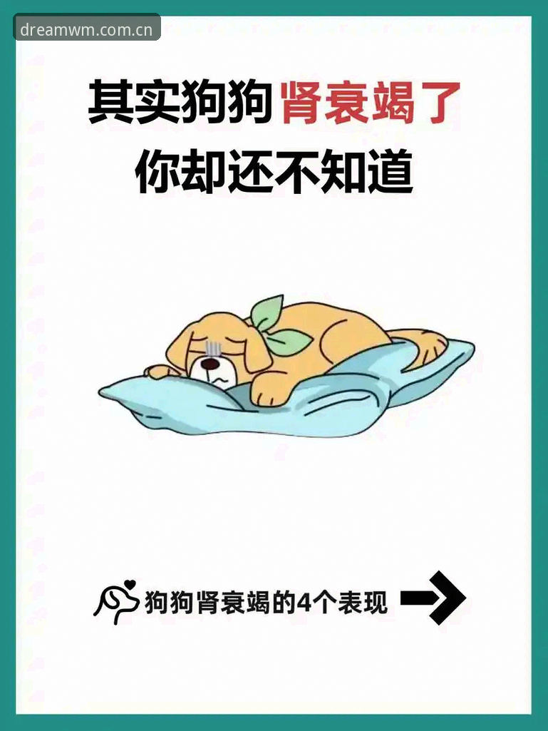 揭秘完美体育多终端安装教程：你不知道的三个隐藏技巧
